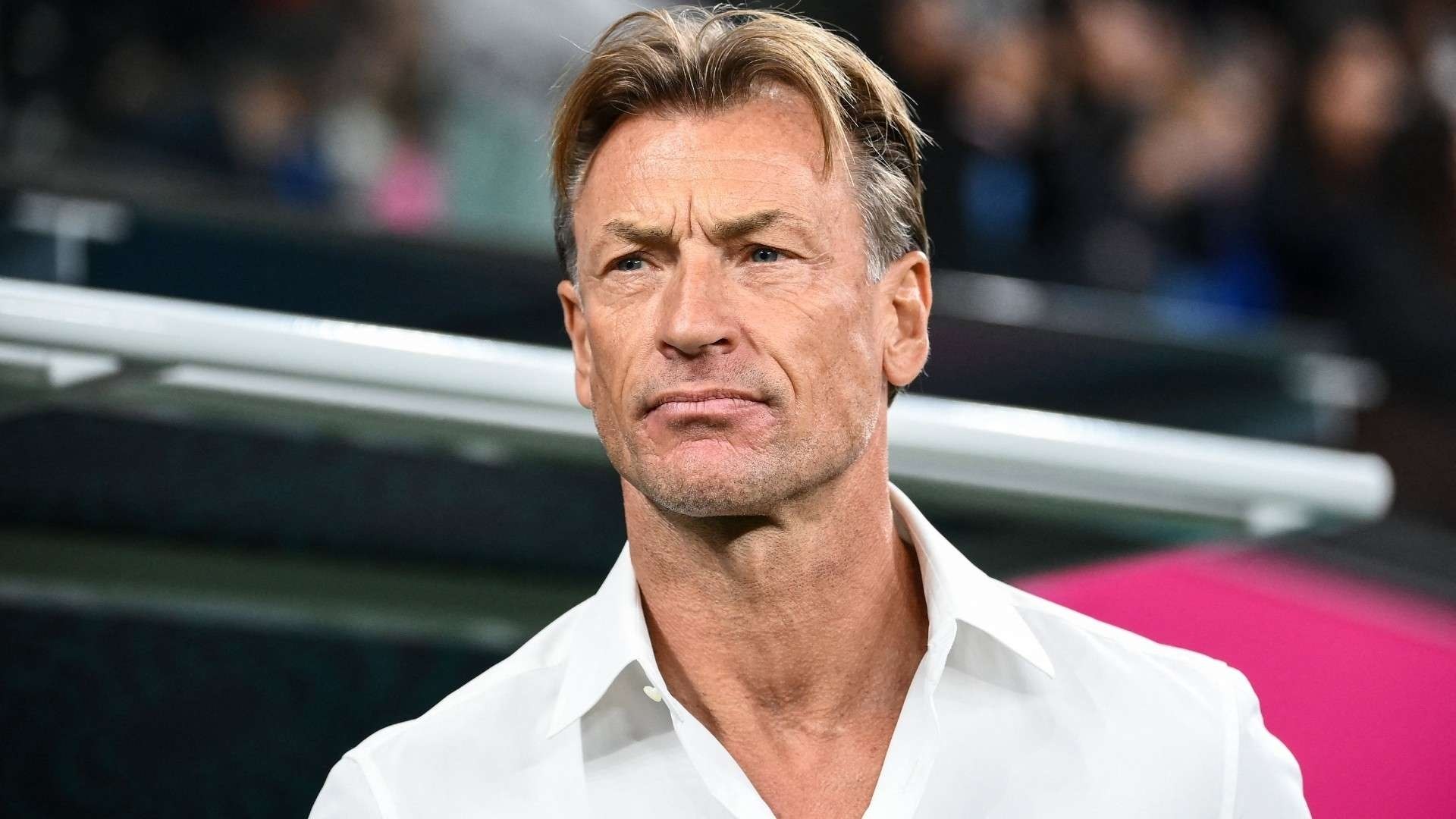 Hervé Renard de camisa blanca, de pie al costado del campo antes de un partido
